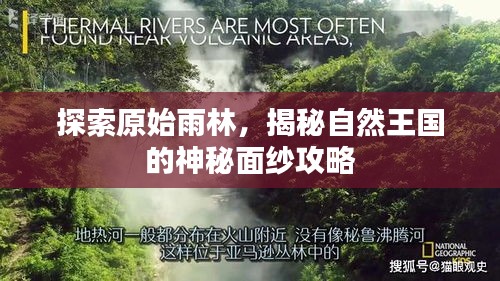 探索原始雨林，揭秘自然王國的神秘面紗攻略