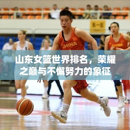 山東女籃世界排名，榮耀之巔與不懈努力的象征
