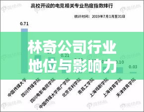 林奇公司行業(yè)地位與影響力解析，揭秘其在行業(yè)中的排名及深遠影響