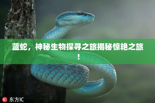 心急如焚 第2頁(yè)