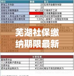 蕪湖社保繳納期限最新規(guī)定解讀，你需要知道的最新繳納期限！