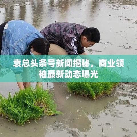 心曠神怡 第2頁