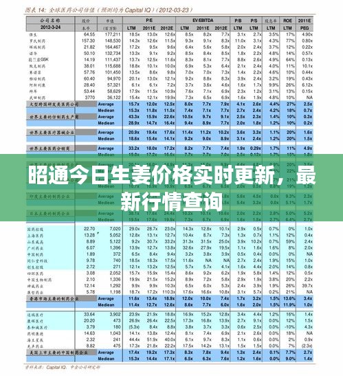 昭通今日生姜價格實時更新，最新行情查詢