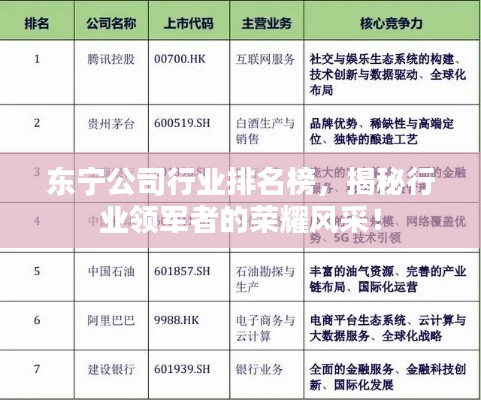 東寧公司行業(yè)排名榜，揭秘行業(yè)領軍者的榮耀風采！