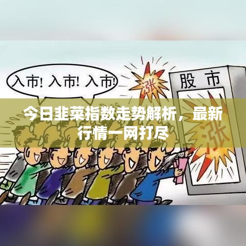 今日韭菜指數(shù)走勢解析，最新行情一網(wǎng)打盡