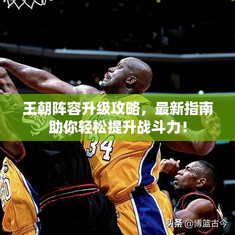 王朝陣容升級攻略，最新指南助你輕松提升戰(zhàn)斗力！