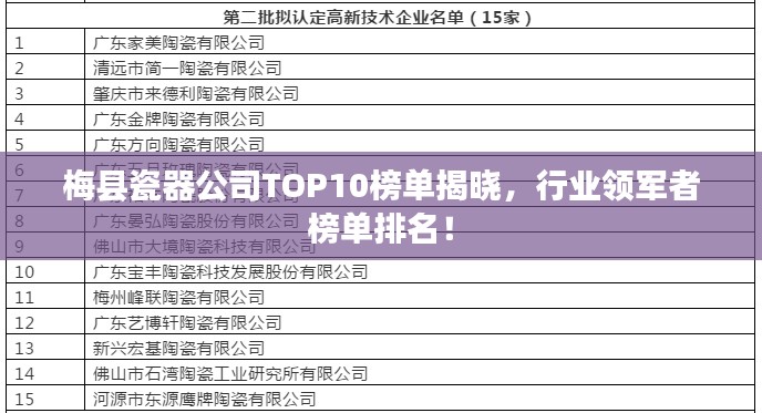 梅縣瓷器公司TOP10榜單揭曉，行業(yè)領(lǐng)軍者榜單排名！