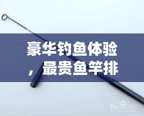 豪華釣魚體驗(yàn)，最貴魚竿排行榜前十名揭曉
