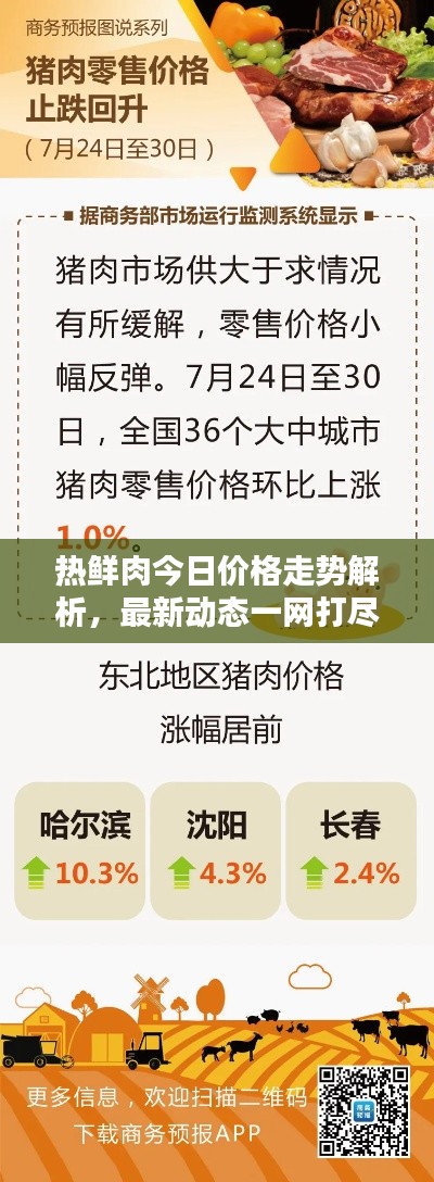 熱鮮肉今日價(jià)格走勢(shì)解析，最新動(dòng)態(tài)一網(wǎng)打盡！