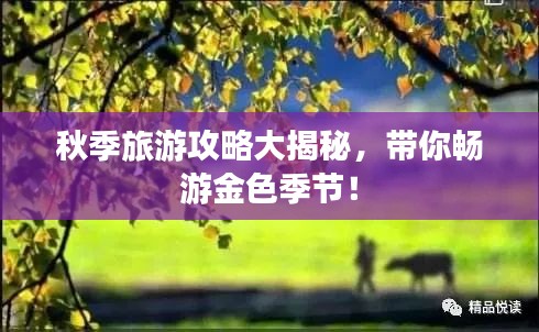 秋季旅游攻略大揭秘，帶你暢游金色季節(jié)！