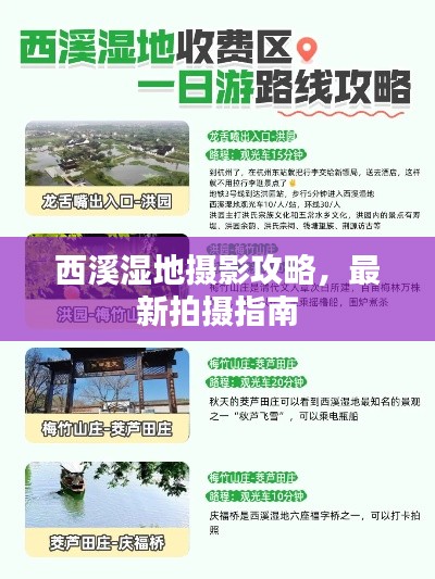 西溪濕地攝影攻略，最新拍攝指南