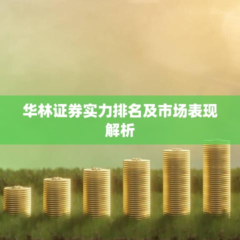 華林證券實(shí)力排名及市場(chǎng)表現(xiàn)解析