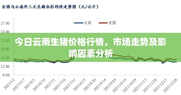 今日云南生豬價格行情，市場走勢及影響因素分析
