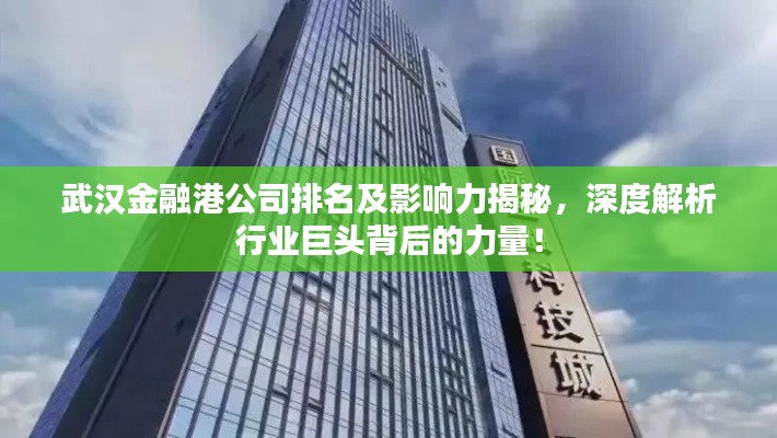 武漢金融港公司排名及影響力揭秘，深度解析行業(yè)巨頭背后的力量！