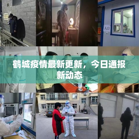 鶴城疫情最新更新，今日通報(bào)新動(dòng)態(tài)