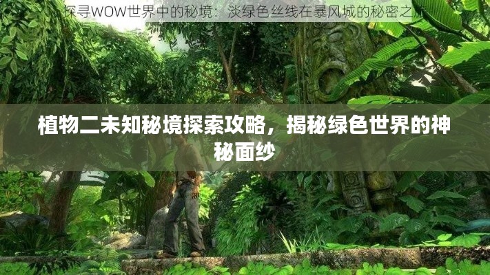 植物二未知秘境探索攻略，揭秘綠色世界的神秘面紗