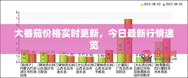 大番茄價格實時更新，今日最新行情速覽