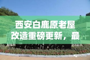 西安白鹿原老屋改造重磅更新，最新動態(tài)揭秘
