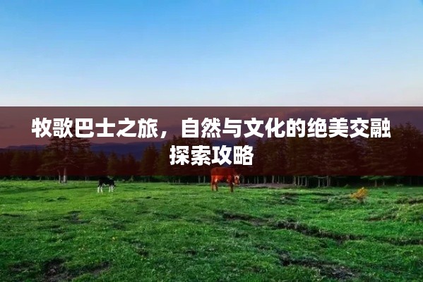 牧歌巴士之旅，自然與文化的絕美交融探索攻略