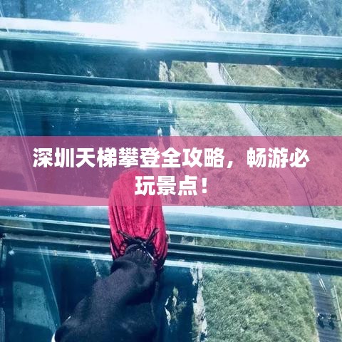 深圳天梯攀登全攻略，暢游必玩景點(diǎn)！