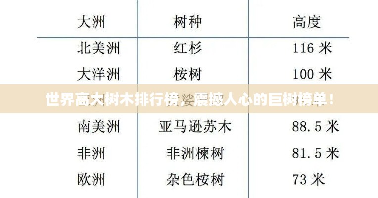 世界高大樹木排行榜，震撼人心的巨樹榜單！