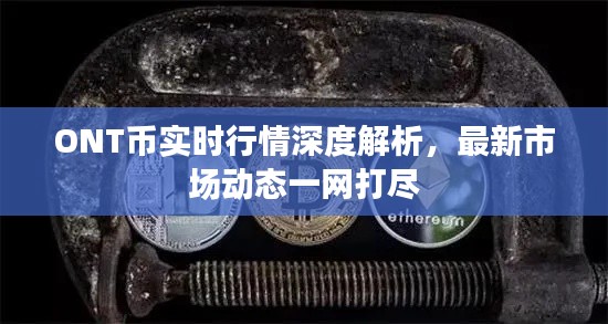 ONT幣實(shí)時(shí)行情深度解析，最新市場(chǎng)動(dòng)態(tài)一網(wǎng)打盡
