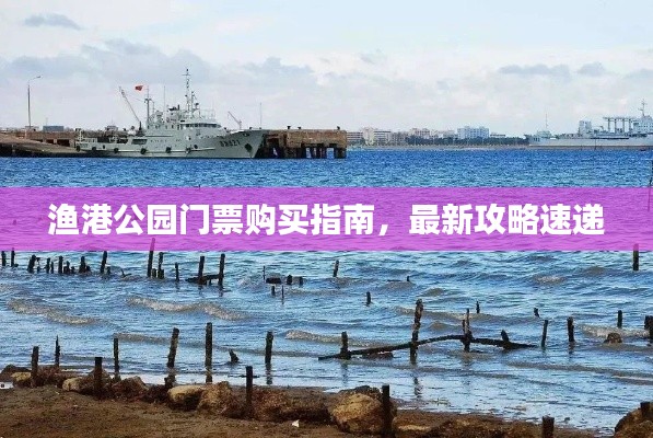 漁港公園門票購買指南，最新攻略速遞