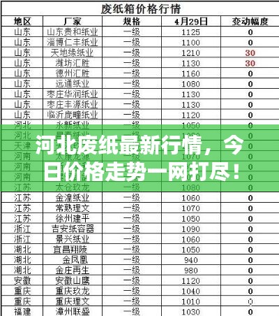 河北廢紙最新行情，今日價(jià)格走勢(shì)一網(wǎng)打盡！