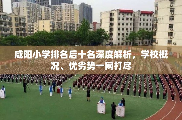 咸陽小學(xué)排名后十名深度解析，學(xué)校概況、優(yōu)劣勢(shì)一網(wǎng)打盡