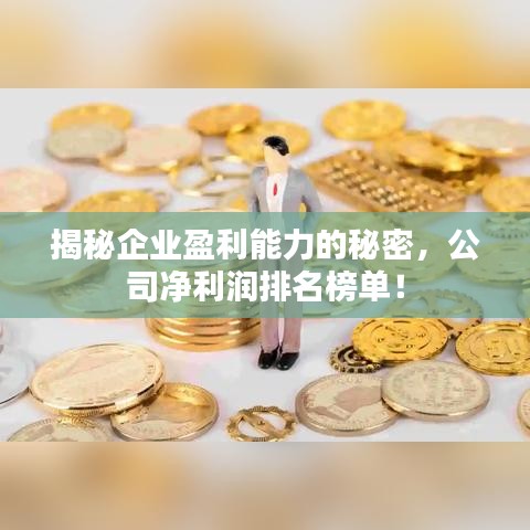 揭秘企業(yè)盈利能力的秘密，公司凈利潤(rùn)排名榜單！