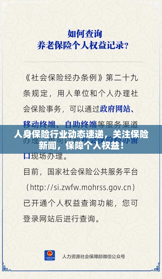 人身保險行業(yè)動態(tài)速遞，關注保險新聞，保障個人權益！