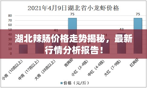 湖北辣腸價(jià)格走勢(shì)揭秘，最新行情分析報(bào)告！