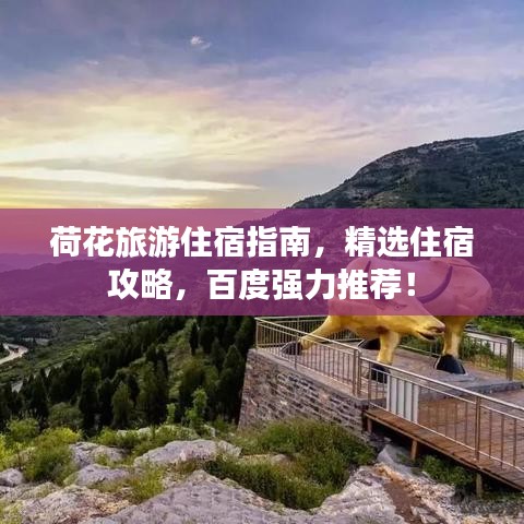 荷花旅游住宿指南，精選住宿攻略，百度強力推薦！