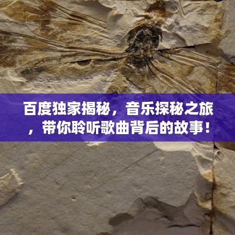 百度獨家揭秘，音樂探秘之旅，帶你聆聽歌曲背后的故事！