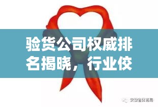 驗貨公司權威排名揭曉，行業(yè)佼佼者一覽無余