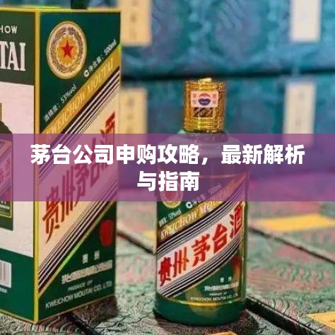 茅臺公司申購攻略，最新解析與指南