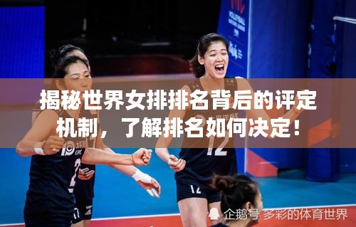 揭秘世界女排排名背后的評定機制，了解排名如何決定！