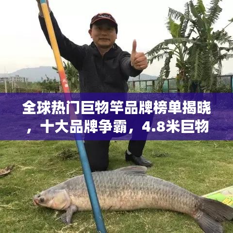 全球熱門巨物竿品牌榜單揭曉，十大品牌爭霸，4.8米巨物竿榮登前十名