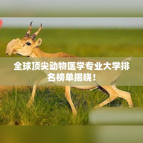 全球頂尖動(dòng)物醫(yī)學(xué)專業(yè)大學(xué)排名榜單揭曉！