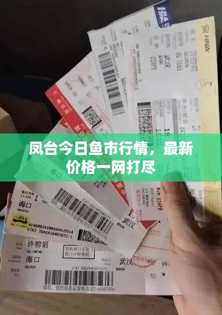 鳳臺今日魚市行情，最新價格一網(wǎng)打盡