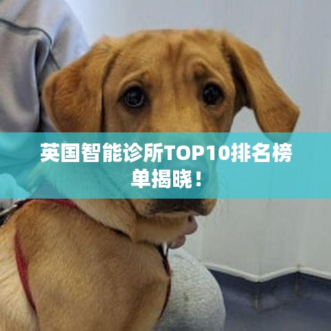 英國智能診所TOP10排名榜單揭曉！