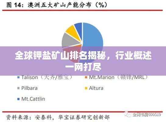 全球鉀鹽礦山排名揭秘，行業(yè)概述一網(wǎng)打盡