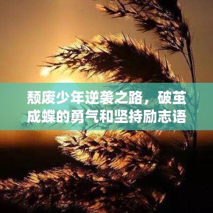 頹廢少年逆襲之路，破繭成蝶的勇氣和堅持勵志語錄