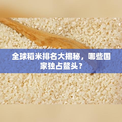 舊雨重逢 第2頁