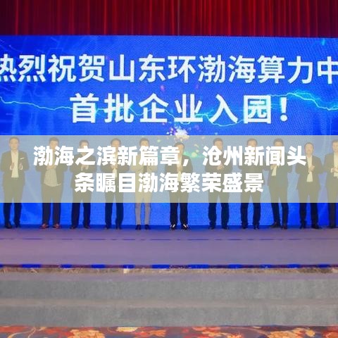 渤海之濱新篇章，滄州新聞頭條矚目渤海繁榮盛景