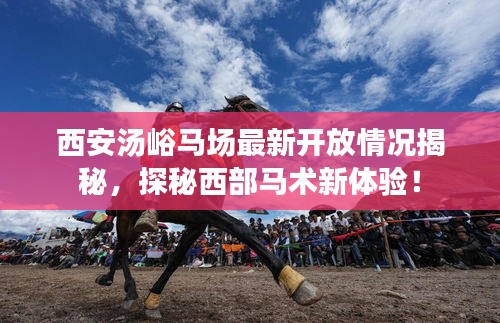 西安湯峪馬場最新開放情況揭秘，探秘西部馬術(shù)新體驗(yàn)！