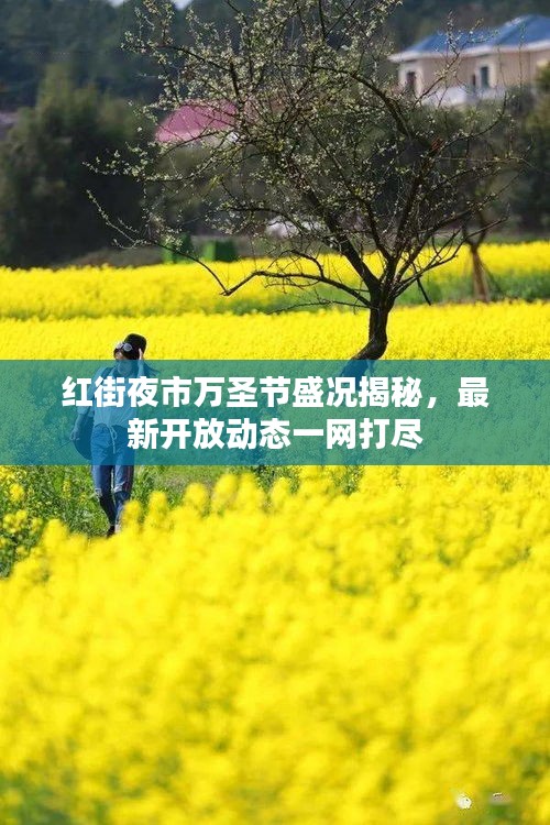 紅街夜市萬圣節(jié)盛況揭秘，最新開放動態(tài)一網(wǎng)打盡