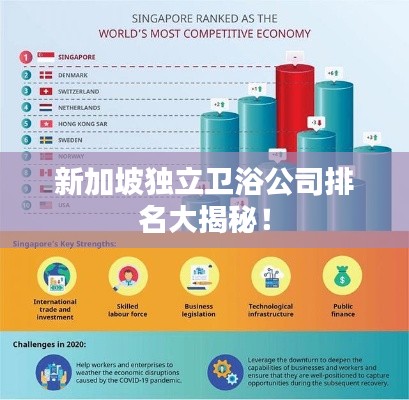 新加坡獨立衛(wèi)浴公司排名大揭秘！