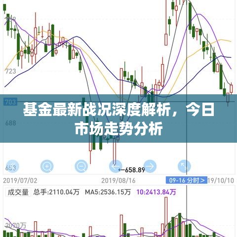 基金最新戰(zhàn)況深度解析，今日市場(chǎng)走勢(shì)分析