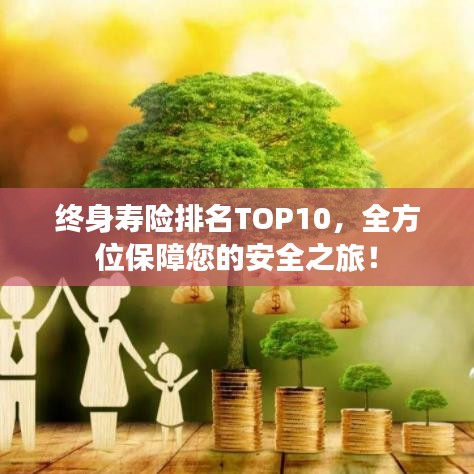終身壽險(xiǎn)排名TOP10，全方位保障您的安全之旅！